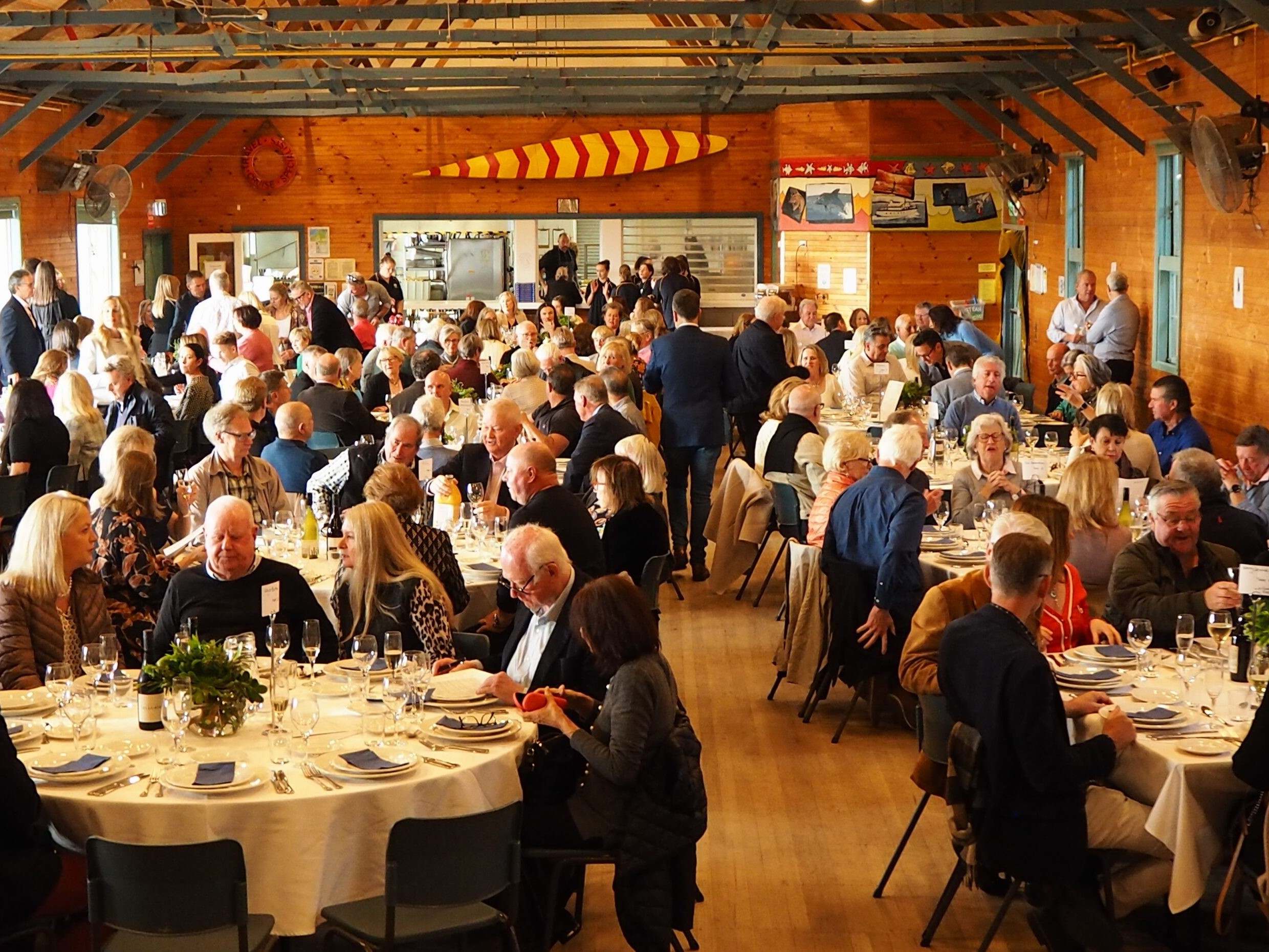 OLYMPUS DIGITAL CAMERA C3113332 scaled uai