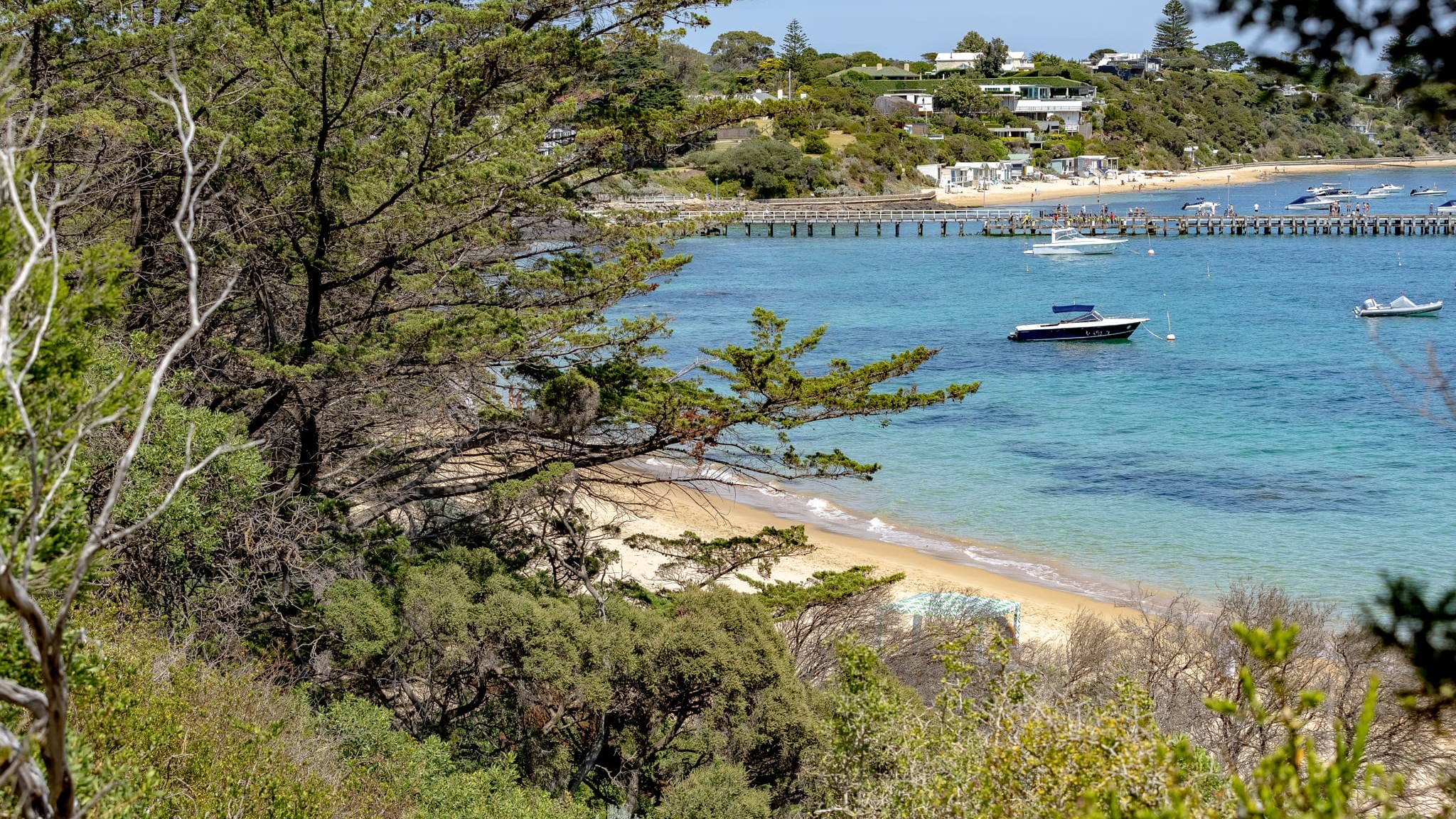 Step Into Their World: A Wellness Weekend for Teachers & Parents 250108.GazzaB.PORTSEA 1060 uai