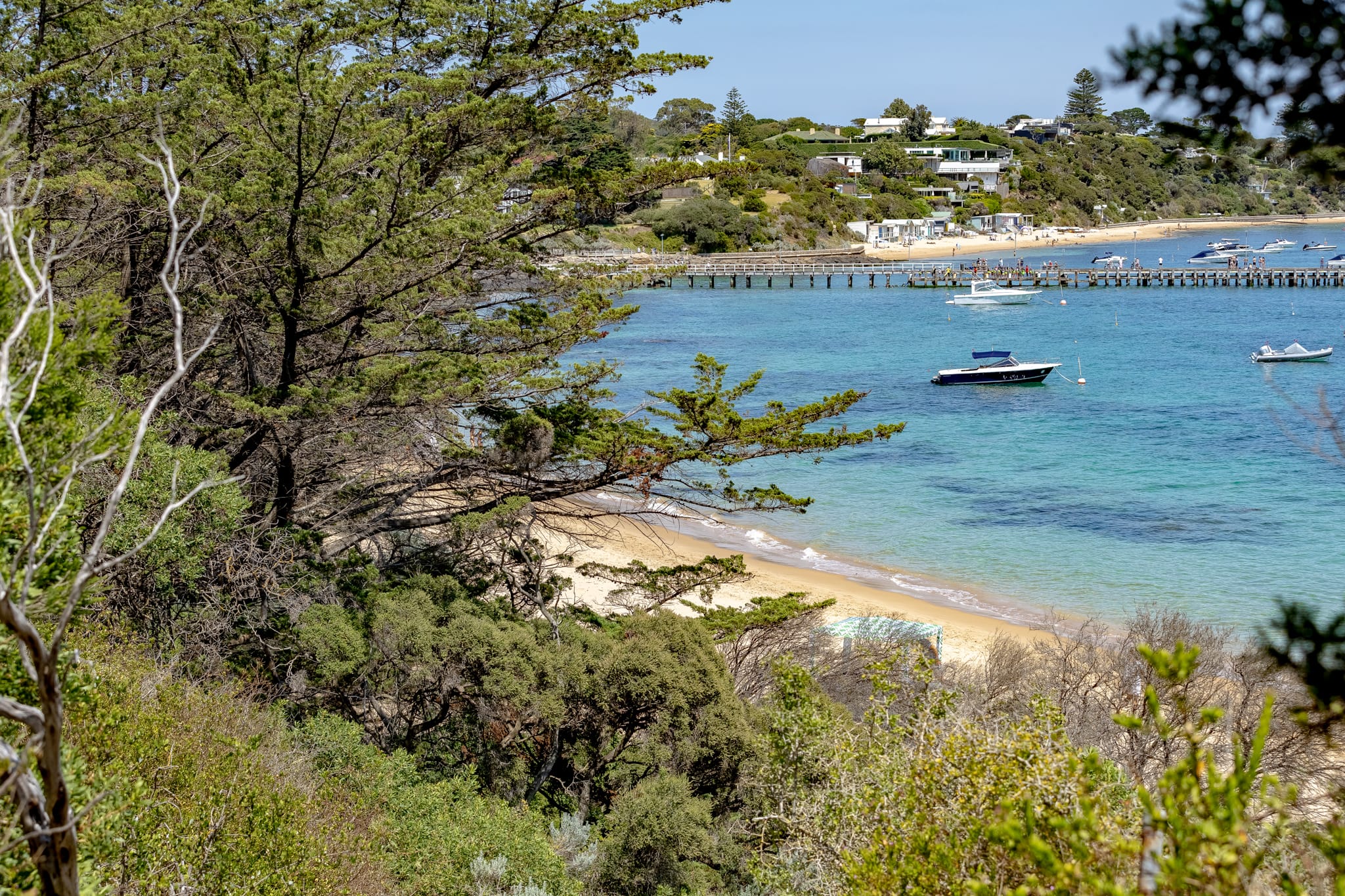 Step Into Their World: A Wellness Weekend for Teachers & Parents 250108.GazzaB.PORTSEA 1060